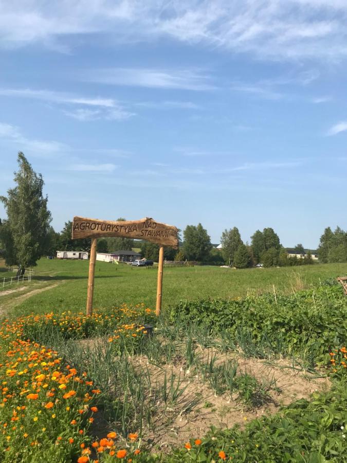 Agroturystyka Nad Stawami Szemud ภายนอก รูปภาพ
