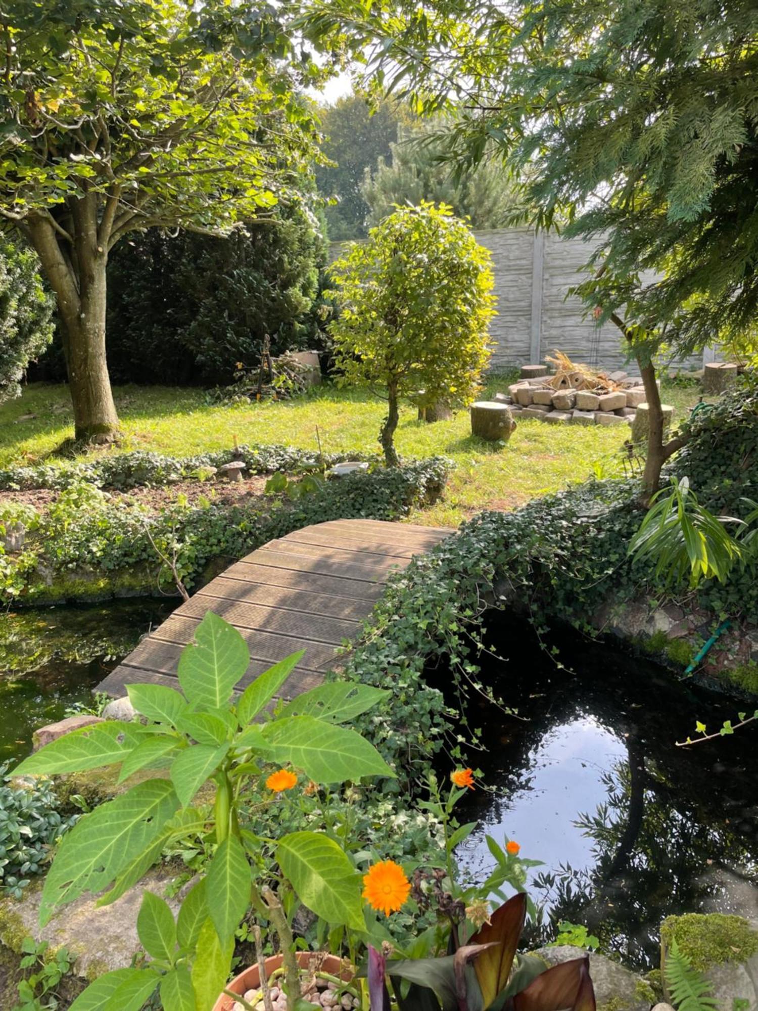 Agroturystyka Nad Stawami Szemud ภายนอก รูปภาพ